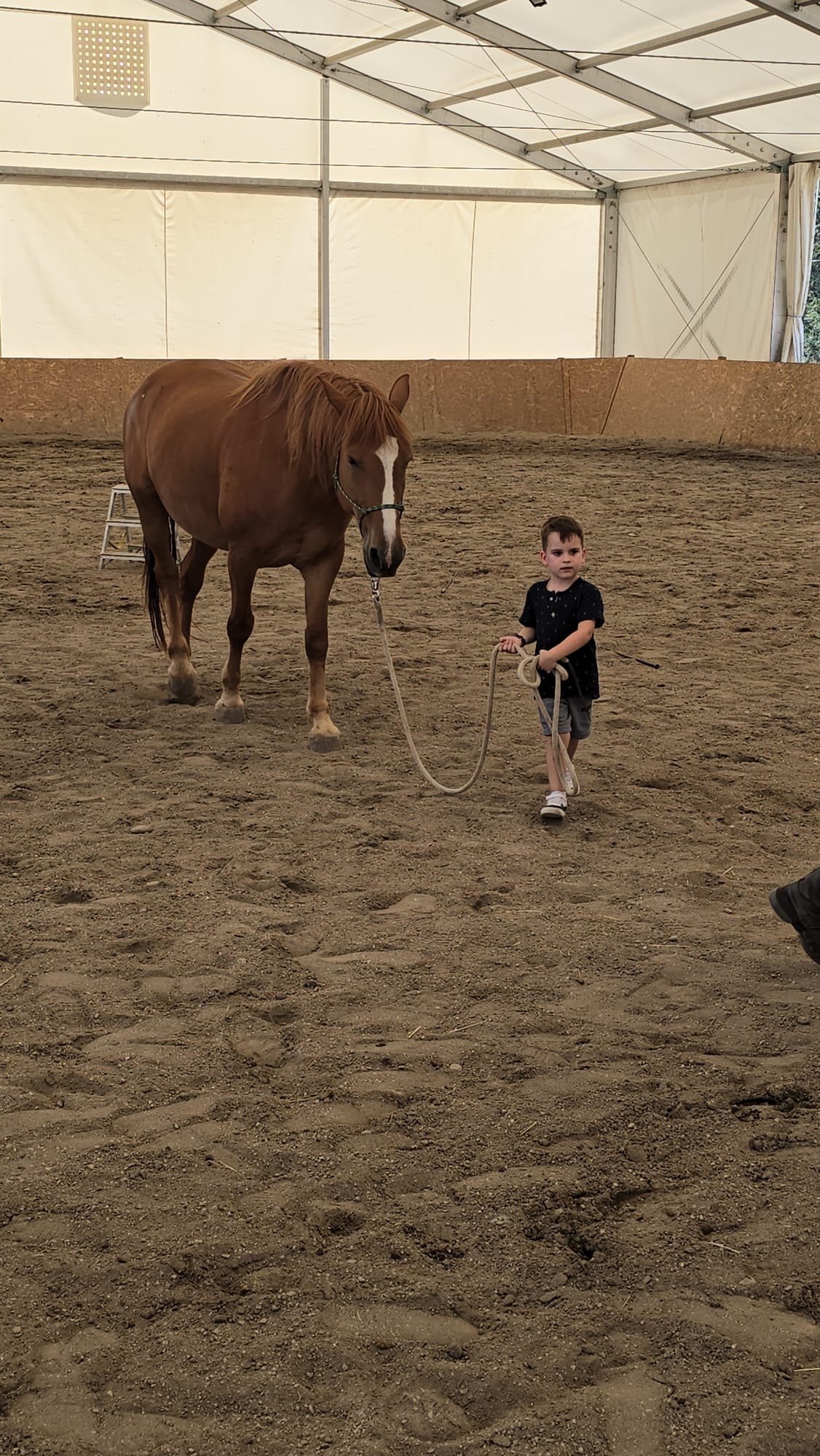 Copil învățând să conducă calul în lecție individuală la Legenda Cailor